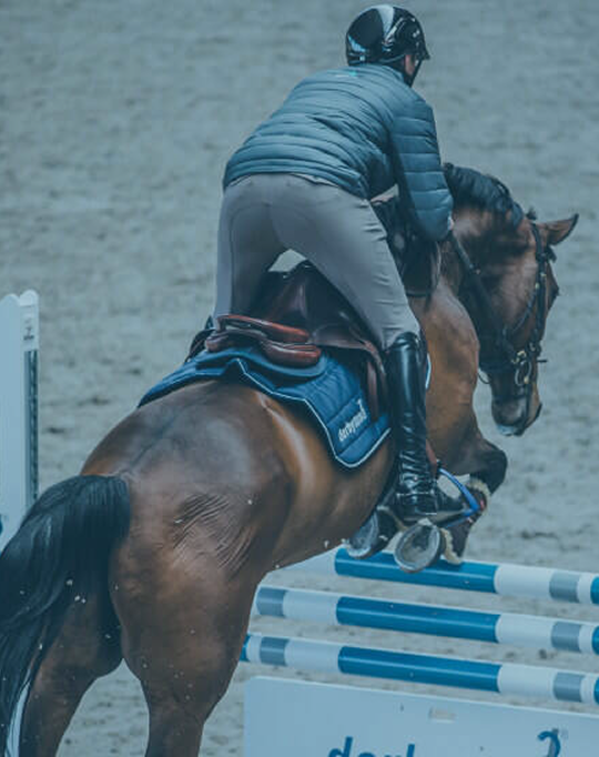 Kategoriebanner Doping ADMR